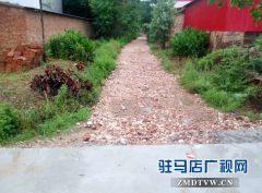 第一书记李瑞杰：解决村民行路难