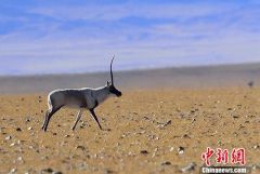 “生态高地”青海多地颁旅游“谢客令”