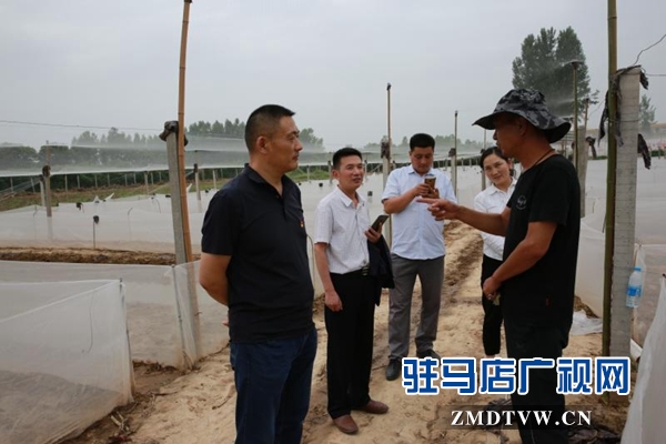 驿城区蚁蜂镇：拓展特色产业 增添脱贫“后劲”