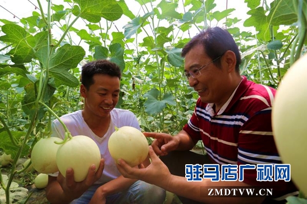 驿城区以技能培训拉动创业