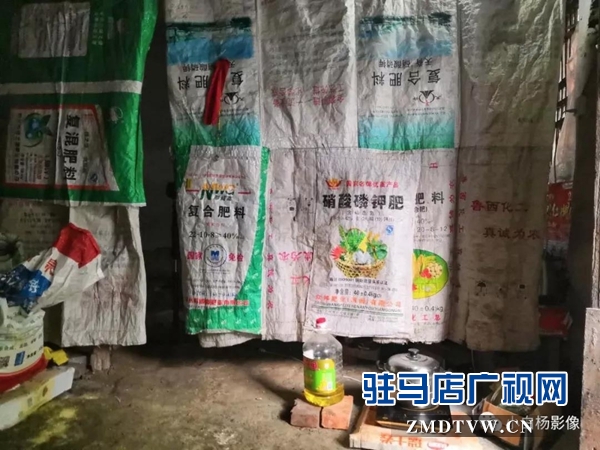 西平县最美女孩：用孝心感动天中