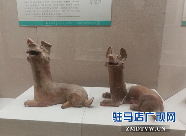 汉代陶狗文物特展在驻马店市博物馆开展