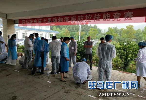 驻马店60多名选手在第七届动物疫病防控技能竞赛中比拼真本事