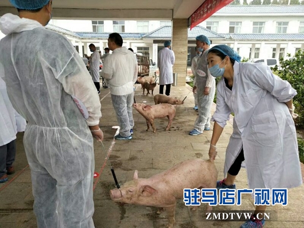 驻马店60多名选手在第七届动物疫病防控技能竞赛中比拼真本事