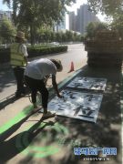 100台纯电动共享汽车即将亮相驻马店