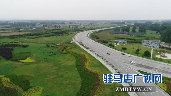 泌阳：创建国家森林城市 建设生态宜居家园