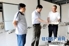 鲁新爱：扶贫先扶志 脱贫必立勤