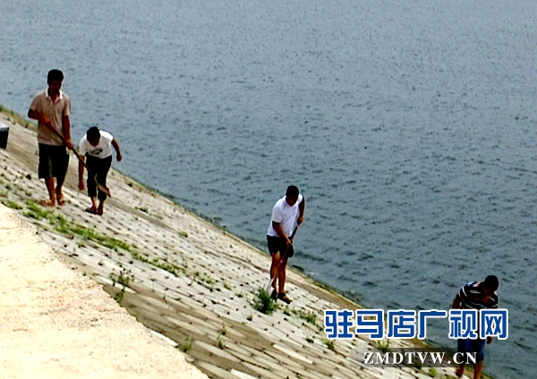 泌阳：加大水库巡查 确保安全度汛