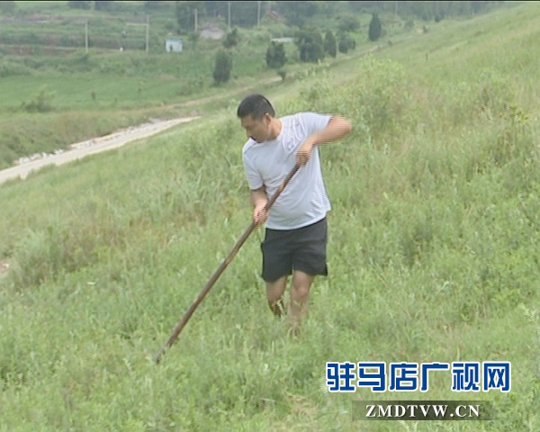 泌阳：加大水库巡查 确保安全度汛