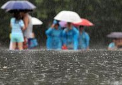 今日中伏 驻马店迎来强降雨