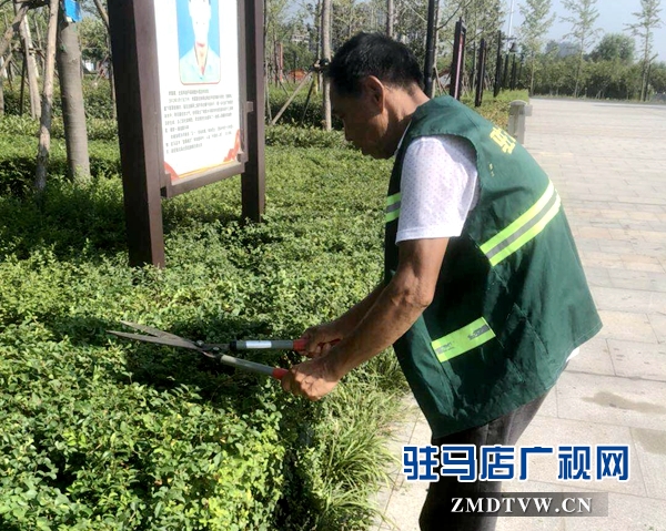 高温下的园林工人：用汗水浇灌城市绿荫