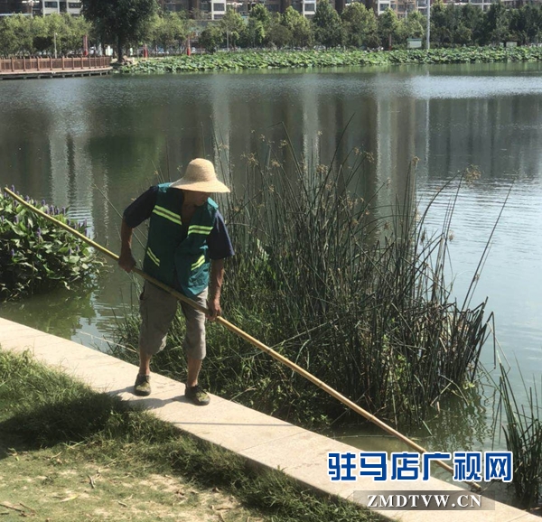 高温下的园林工人：用汗水浇灌城市绿荫