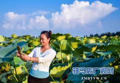 正阳县永兴镇：荷叶田田农家乐