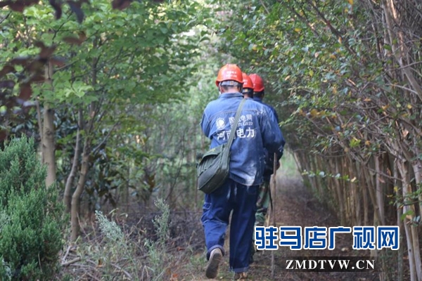 泌阳县邀请媒体走进电网看供电保障