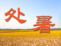 今日处暑 保睡眠重养生防“秋燥”