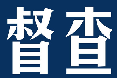 国务院派出31个督查组分赴各地进行督查