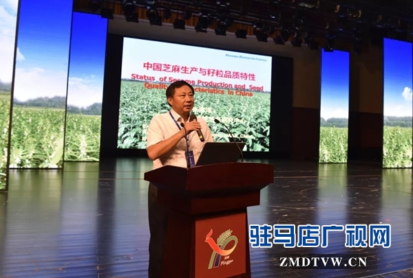 芝麻产业创新发展高端报告会在平舆举行