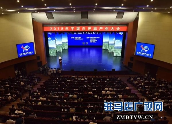 2018年平舆白芝麻产业大会召开 