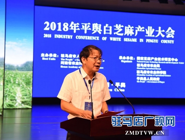 2018年平舆白芝麻产业大会召开 