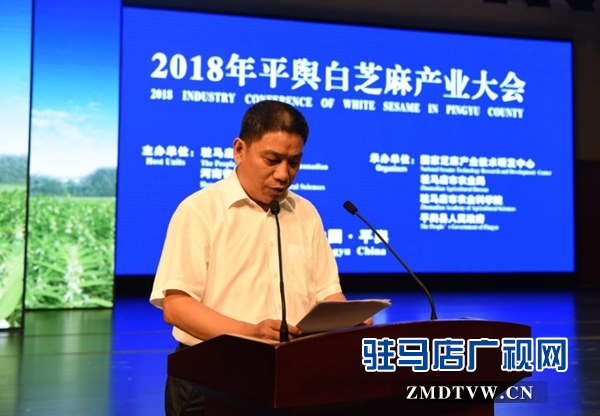 2018年平舆白芝麻产业大会召开 