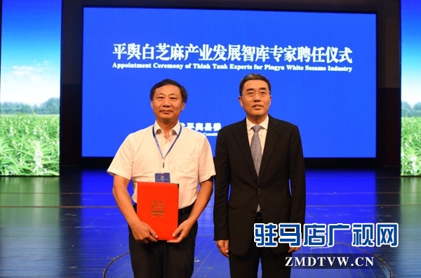 2018年平舆白芝麻产业大会召开 