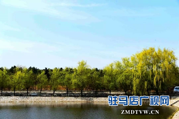 泌阳：昔日荒山野岭 今朝绿色银行