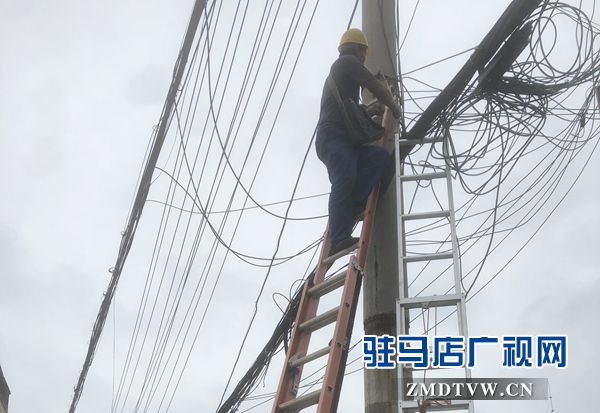 两根线杆断裂倾倒有危险 工人拆除换新杆