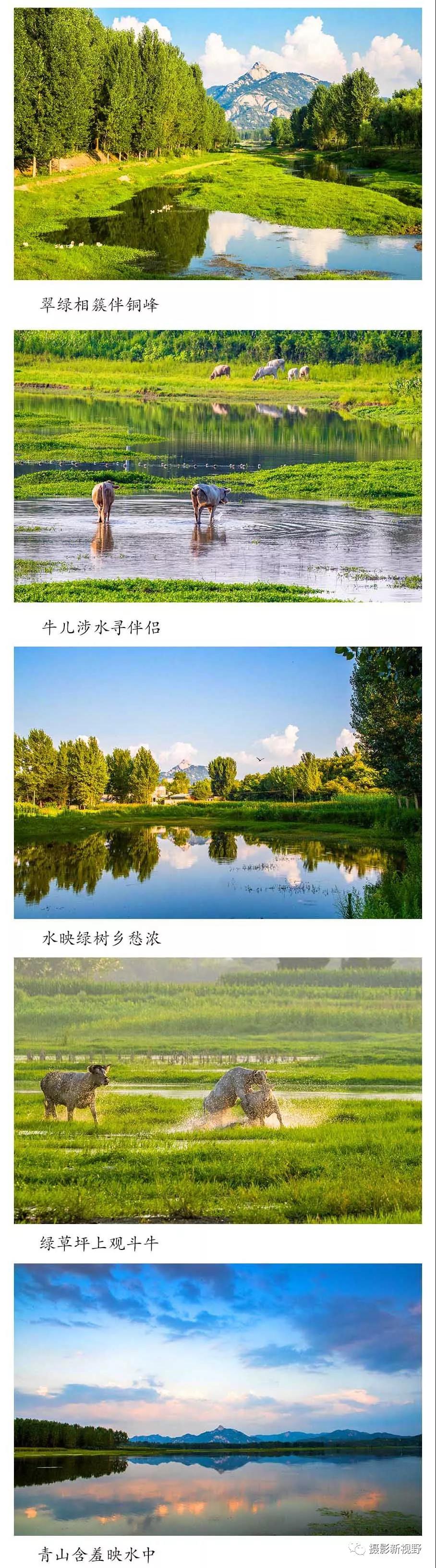 铜山湖国家湿地公园新LOGO诞生