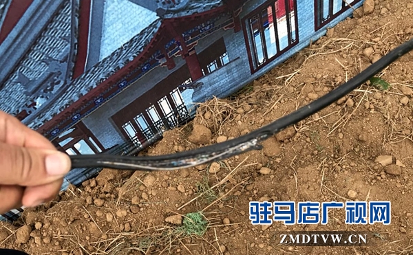  驻马店一施工队涉嫌野蛮施工造成广播电视光缆中断