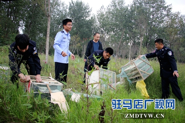 500余只野生鸟类在正阳县清水湾得以重归自然