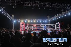 “大秦文武争霸赛”七国拳王汇聚天中