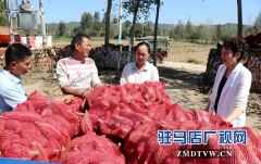驻马店天中老街：发挥企业优势 助力精准扶贫
