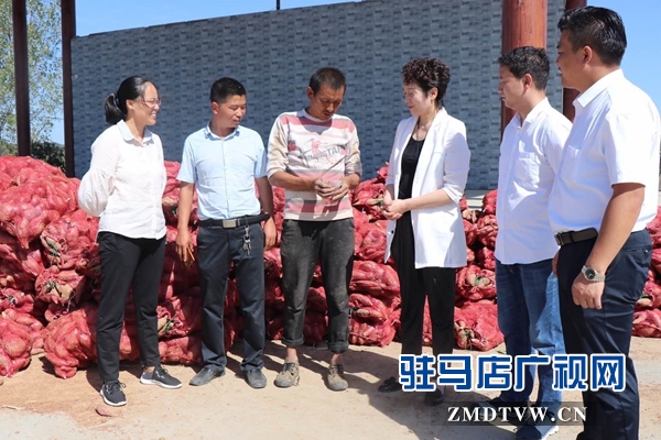 驻马店市天中老街：发挥企业优势 助力精准扶贫