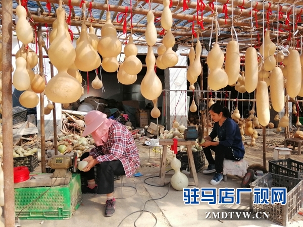 汝南农民赵广：“小葫芦”承载大梦想