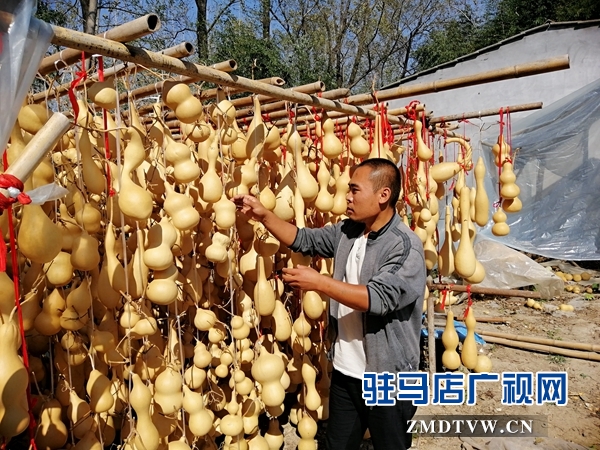 汝南农民赵广：“小葫芦”承载大梦想