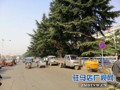 市区部分禁止停车牌“失灵”