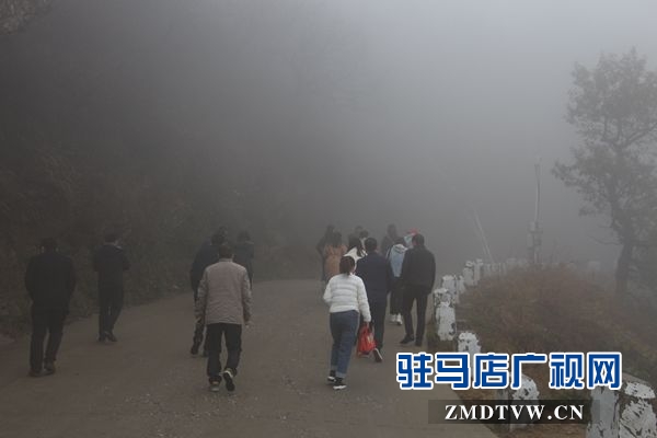 30余位中央 省市网络媒体记者聚焦驻马店 深度走访魅力天中