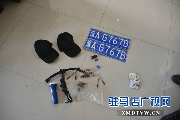 狗肉汤锅店老板夫妇白天卖狗肉，晚上用弩和毒镖盗狗