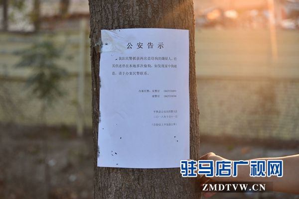 狗肉汤锅店老板夫妇白天卖狗肉，晚上用弩和毒镖盗狗