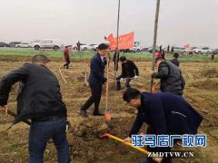 确山卫计委积极开展冬季义务植树造林活动