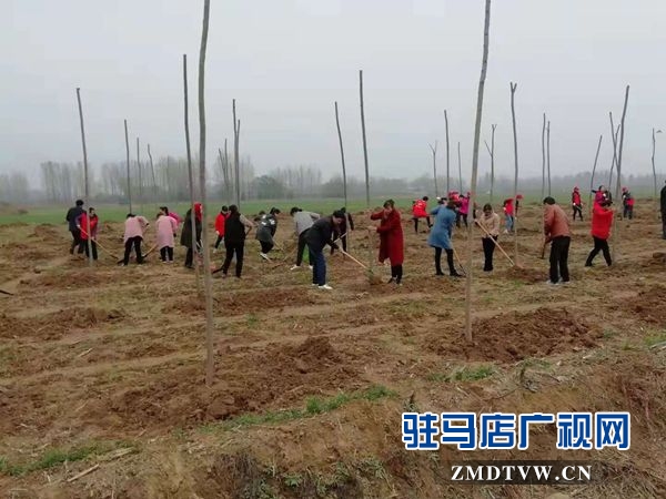 确山卫计委积极开展冬季义务植树造林活动