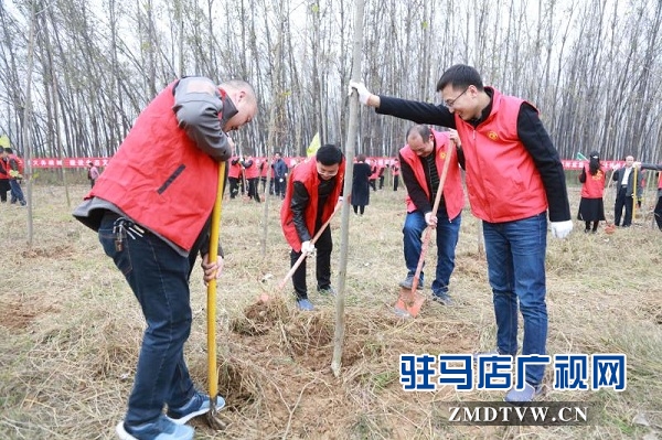 开发区冬季义务植树活动盛大举行