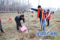 开发区冬季义务植树活动盛大举行
