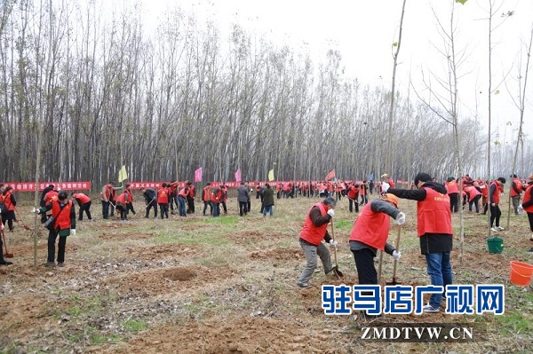 开发区冬季义务植树活动盛大举行