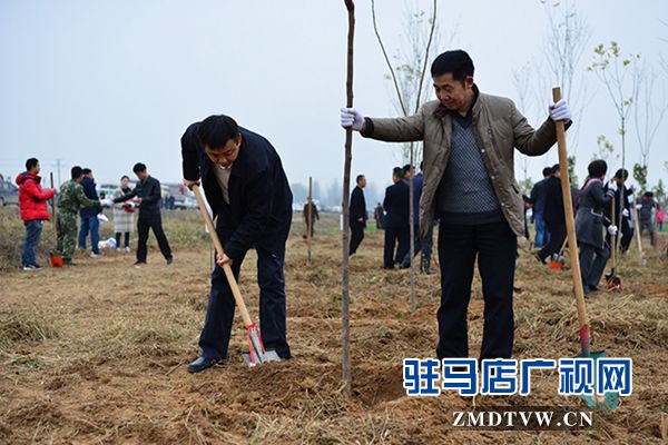 驻马店各县区掀起冬季义务植树热潮