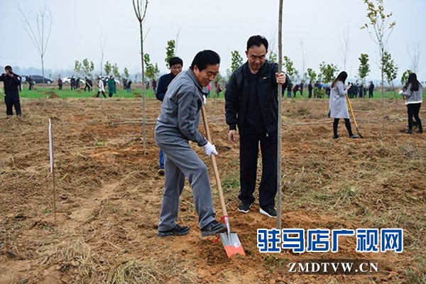 驻马店各县区掀起冬季义务植树热潮