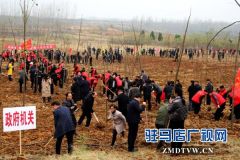 泌阳：全面启动实施国土绿化提速行动