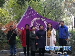 “希望24热线”守护生命的希望