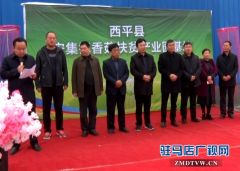 西平：以香菇扶贫发展特色产业