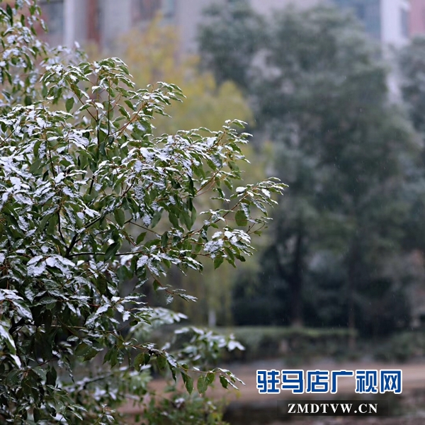 天中雪景 美不胜收